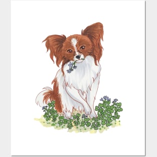 Papillon and Clover Posters and Art